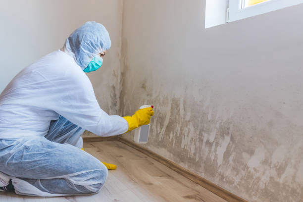 Commercial Mold Remediation assessment for commercial property in East Boston